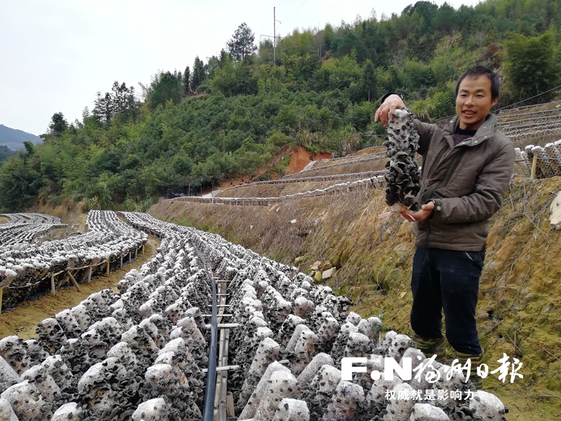 闽清建档立卡贫困户江贤辉办起黑木耳种植场