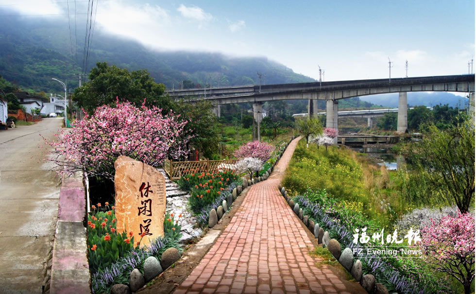 福永高速桥下打造小型花海公园