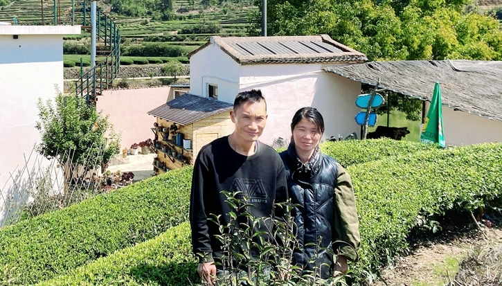 南洋风情入茶山 “侨二代”开办民宿留住乡愁记忆