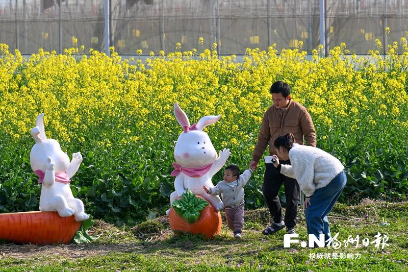 福州百花盛开，“赏花经济”如何持久绽放？