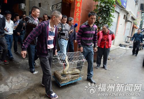 福州新闻网