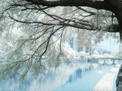 夏日榕城拍出北方梦幻雪景