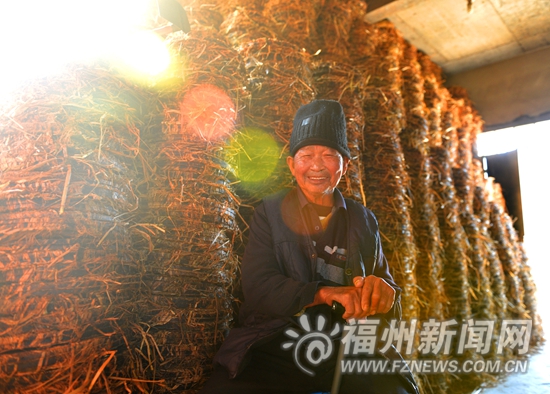 永泰盘洋村四万多斤茶油滞销　晚报搭建公益平台