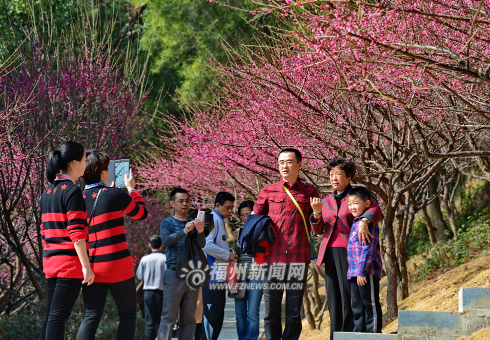 登城市阳台赏福州美景　乐享榕城慢生活攻略之山地绿道篇