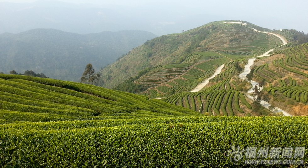 2015年福州踏青地图出炉　家门口即可赏烂漫春光