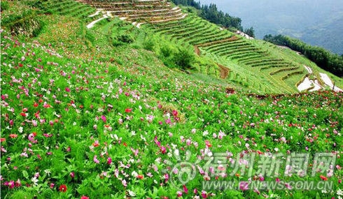 2015年福州踏青地图出炉　家门口即可赏烂漫春光