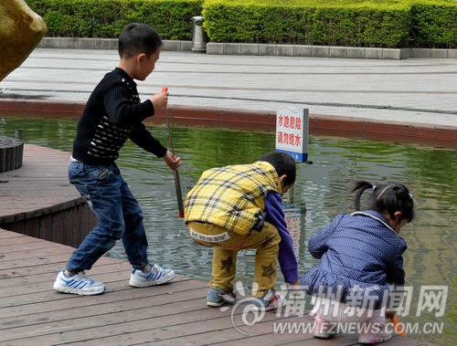 金牛山公园孩子水池边戏水　将近半数无家长看管