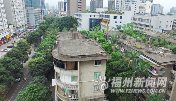 群众西路改造受阻交通拥堵不堪 拆迁协议仅签6户