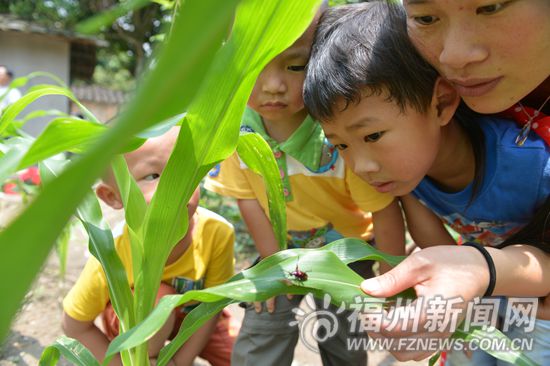 闽侯有所“野生”学校:学生也是老师 练字用毛笔