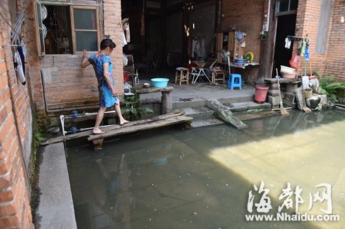 福州仓山20多户村民出入客厅卧室　要过一潭污水