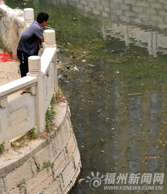 琴亭湖入水口漂满垃圾　管理处：已加派人手清理