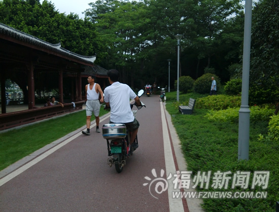 乱骑车摘芒果　福州光明港公园不文明行为煞风景