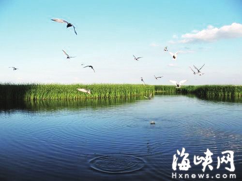 长乐闽江河口湿地公园
