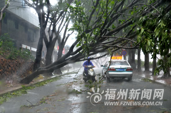 狂风暴雨肆虐榕城昨日很受伤　多处广告牌被吹落