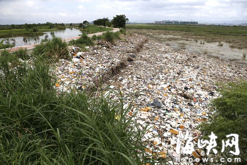 龙祥岛江中村湿地堆满垃圾