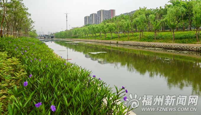 杨岳调研福州防洪排涝工作　要求加快推进海绵城市建设
