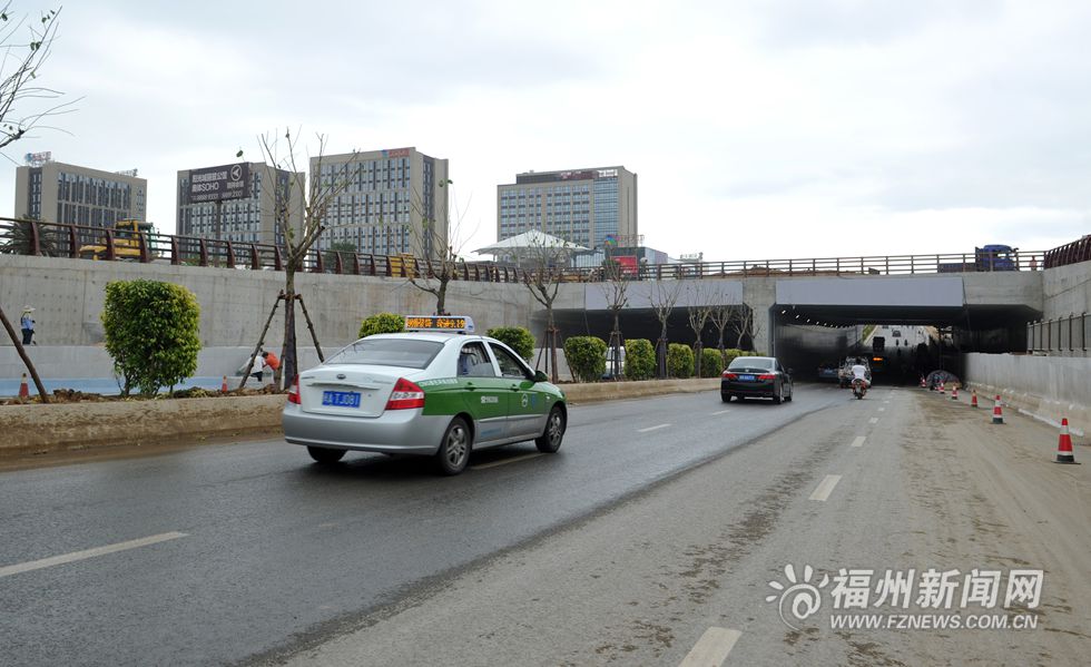 奥体片区将现“海鸥翱翔”景观　绿化美化基本完成