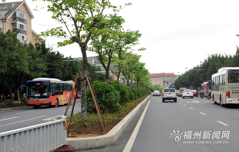 奥体片区将现“海鸥翱翔”景观　绿化美化基本完成