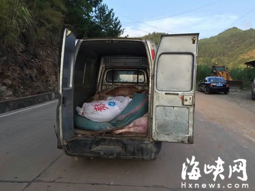 一辆满载死猪的小货车被村民拦下