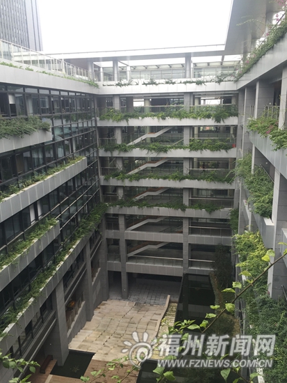 福州出台新规：中心城区新公共建筑屋面必须绿化