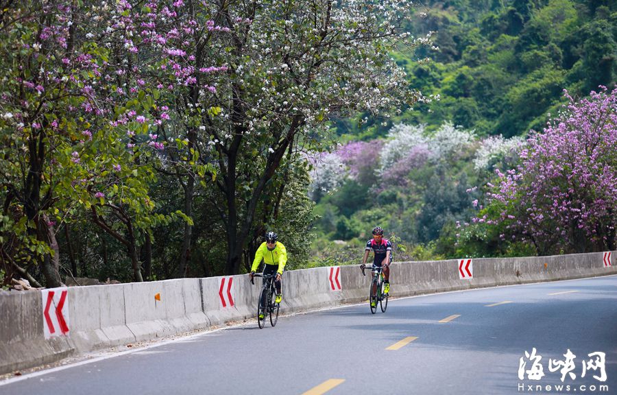 “福州最拉风山路”远离喧嚣　柳杉夹道云雾缭绕