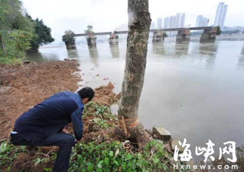 闽江北岸驳岸一期施工　未经审批铲超50平米绿地