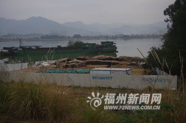 厚美沙洲湿地遭重创　圈地出租养鱼放牛私建花园