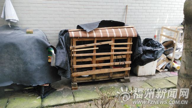 楼下公鸡“太敬业”天没亮打鸣　楼上住户睡不好