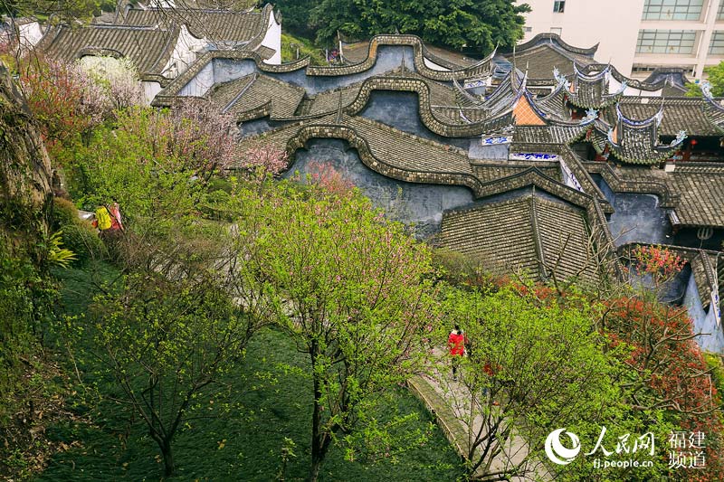 福州乌山万盆花卉迎春　千株桃花引游客沉醉(图)