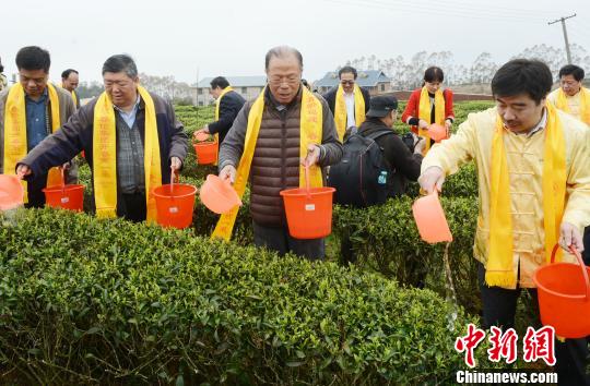 “世界茉莉花茶发源地”福州举行盛大祈福祭茶仪式