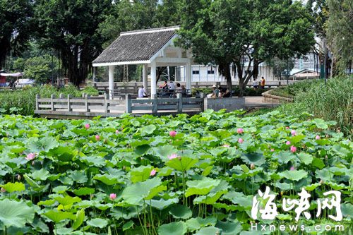 福州进入“烧烤模式”　公园升级纳凉赏花有去处