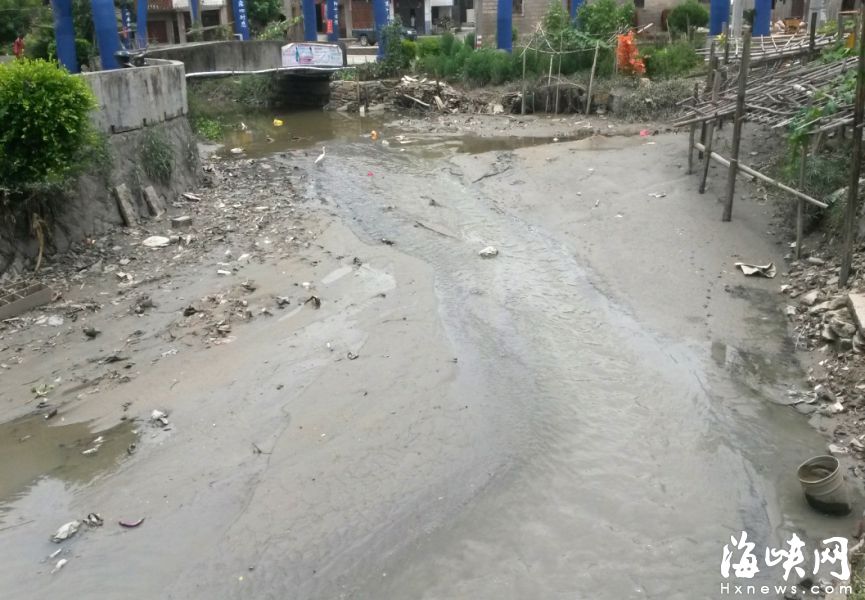 长乐东湖“变身”:曾经半湖浮莲 现在水清伴花香