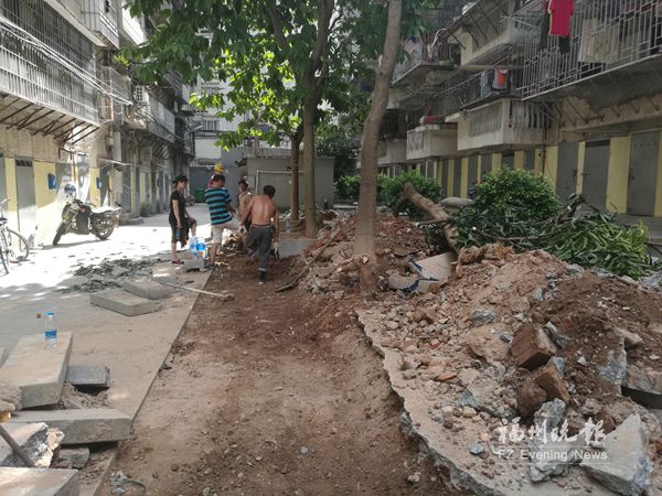 光荣新村部分业主请工人擅自砍树　欲扩建车位　