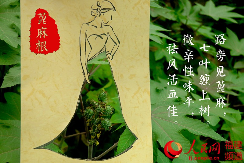 福大学子走进深山拍创意宣传图集　把药草穿上身