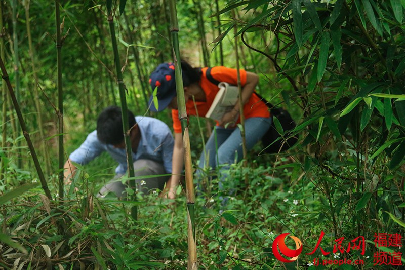 福大学子走进深山拍创意宣传图集　把药草穿上身