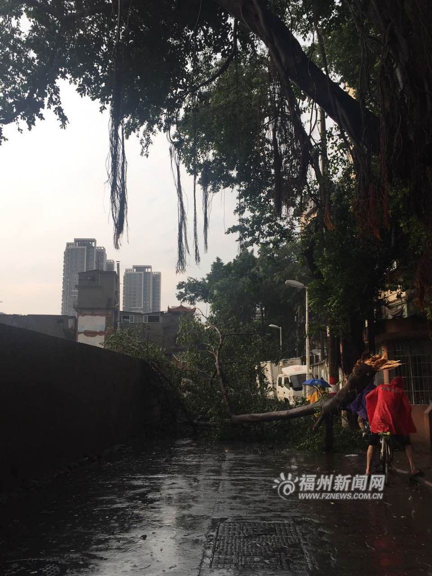 福州：暴雨袭城