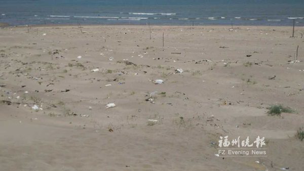 观赏长乐“蓝眼泪”游客数量骤增　海滩上留垃圾