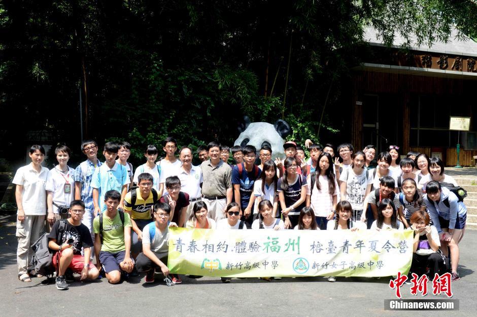 40位台青年学生在福州与大熊猫“亲密”接触(图)