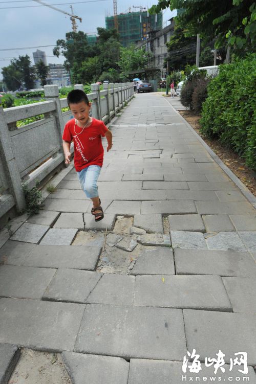绿道上的地砖被压裂拱起市，民担心路过的孩子会崴脚
