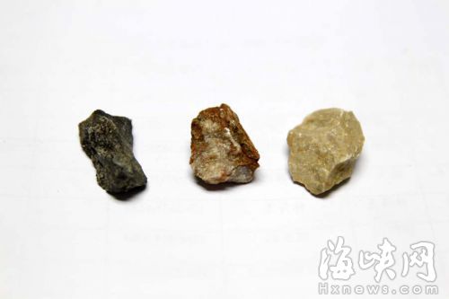 记者也在南公园内选取了3块石头，专家鉴定均不是石灰岩