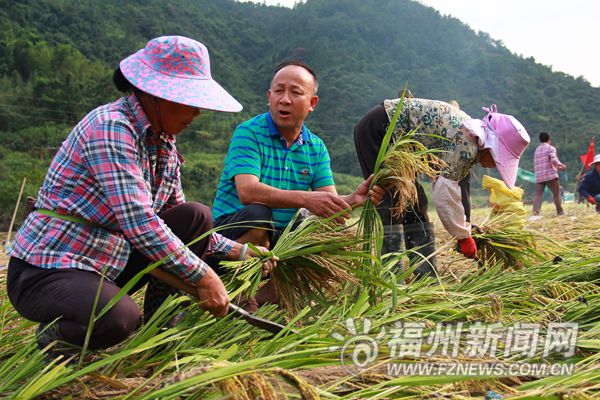 刘长记：让村民每年人均收入增千元的致富经