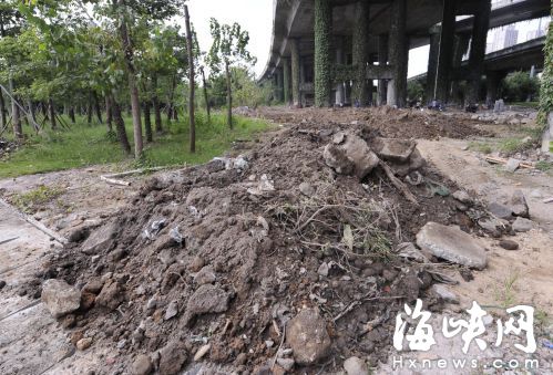 福州光明港三环桥下花圃被倒了渣土