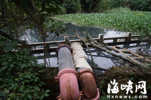 小区污水直排内河 跃进河变“化粪池”黑臭难忍