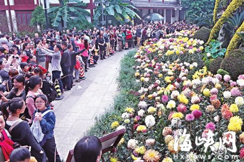 福州：西湖菊展首周末 超八万游客参观