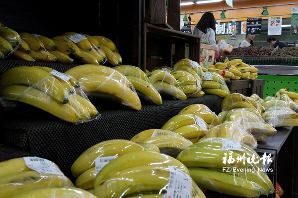 多省份香蕉同时上市 榕香蕉零售价低至1元/500克