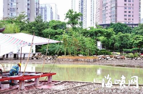 為保護(hù)荷花 福州茶亭公園建觀魚區(qū)