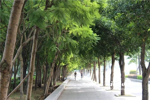 长乐六方面入手建设海上福州　全面升级城市绿化