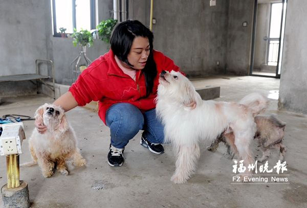 大媽月花數千收養貓狗　怕沒人照看手術一拖再拖