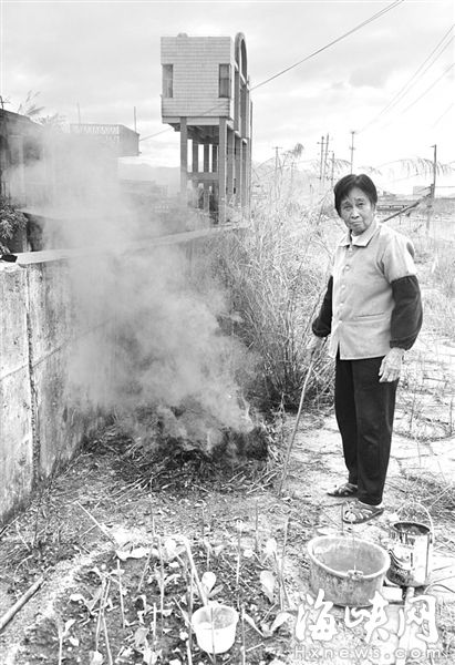 江口村，菜农烧秸秆