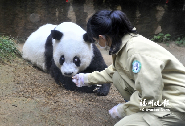 37岁巴斯成